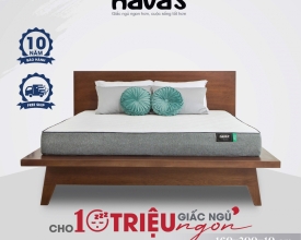 NỆM CAO SU HAVAS ECO