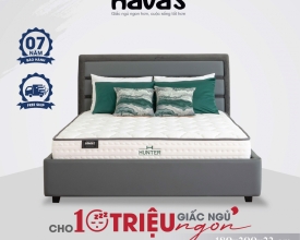 NỆM LÒ XO TÚI HAVAS HUNTER
