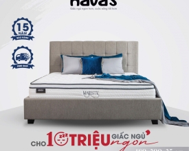 NỆM LÒ XO LIÊN KẾT HAVAS MAJESTY